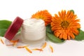 Marigold salve Royalty Free Stock Photo