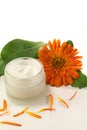 Marigold salve Royalty Free Stock Photo