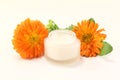 Marigold salve with flowers and leaves Royalty Free Stock Photo