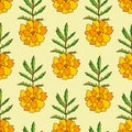 Marigold seamless pattern. Floral background for textile. Pattern print with orange marigold flowers