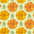 Marigold seamless pattern. Floral background for textile and wallpaper. Herbal tea wrapping paper. Pattern marigold flowers print