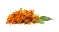 Marigold tea Royalty Free Stock Photo