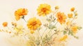 Marigold Watercolor Painting With Golden Flowers On White Background