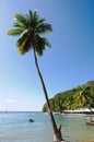 Marigot bay - Saint Lucia tropical island