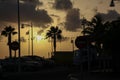 Beautifull sunset with palm trees and cars silhuetes