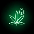 Marijuana and beetle outline icon in neon style. Can be used for web, logo, mobile app, UI, UX