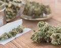 Marijuana Buds Up Close With Joint