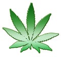 Marijuana leaf Royalty Free Stock Photo