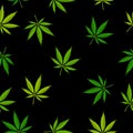 Marijuana leaf seamless pattern. Medical cannabis plant, Herbal indica sativa. Natural hemp background. Addiction smoke