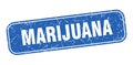 marijuana stamp. marijuana square grungy isolated sign.