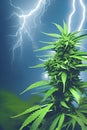 Marijuanna lightning Royalty Free Stock Photo