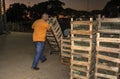 Boxes with fruits and vegetables are separated on a \