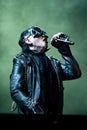 Marilyn Manson during the concert Royalty Free Stock Photo