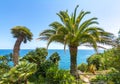 Marimurtra botanical garden at Blanes near Barcelona, Spain Royalty Free Stock Photo