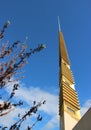 Marin County Civic Center rooftop