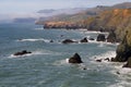 Marin County Coast