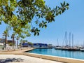 Marina in Alicante, trees, palm trees, sea, and yachts. Mediterranean tranquil sea, beautiful yachts and green trees