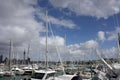 Marina with Auckland Skytower Royalty Free Stock Photo