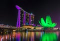 Marina Bay Sands Hotel and Arts Museum in Singapore