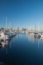 Marina Boats Royalty Free Stock Photo