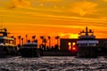 Marina with boats and palm trees on the background of a bright orange sunset on the sea Royalty Free Stock Photo