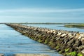 Marina breakwater birds in Provincetown, USA. Royalty Free Stock Photo