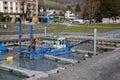 Marina Cleanup in Walenstadt
