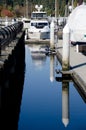 Marina at Coal harbour on a sunny morning - 1 Royalty Free Stock Photo