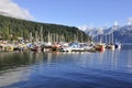 Marina in Deep Cove