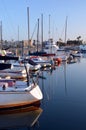 Marina Del Rey Harbour and Yachts at Dawn. Royalty Free Stock Photo