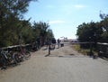 Marina di Bibbona, Livorno. Road leading to the beach.