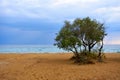 marina di salve italy