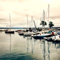 A marina with docked sailboats. Copy space. Square.