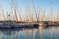 Marina with docked yachts at sunset. Ashdod Royalty Free Stock Photo