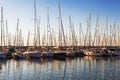 Marina with docked yachts at sunset