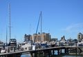 Marina in Downtown Sarasota at the Gulf of Mexico, Florida Royalty Free Stock Photo