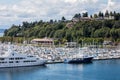 Marina in Elliott Bay Royalty Free Stock Photo