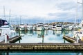 Boat Marina Gulf Harbour - Whangaparaoa Peninsula