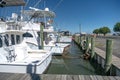 Marina with fishing boats in the Atlantic Ocean bay in North Carolina Harbor Royalty Free Stock Photo