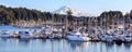 Panoramic view of gig harbor in Washington state Royalty Free Stock Photo