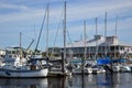 Marina at the Gulf of Mexico, Clearwater, Florida Royalty Free Stock Photo