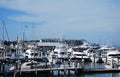 Marina at the Gulf of Mexico, Key West on the Florida Keys Royalty Free Stock Photo