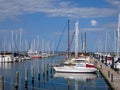 The marina of Hohe Duene (Germany) Royalty Free Stock Photo