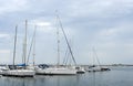 Marina in Mangalia