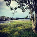 Marina, a nice and beautiful day, Hafrsfjord in Norway Royalty Free Stock Photo