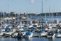 Marina Nynashamn archipelago town Royalty Free Stock Photo