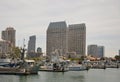 Marina and Panorama of Downtown, San Diego, California Royalty Free Stock Photo