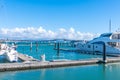 Marina piers and luxury boats form foreground from Stanley Bay for distant Auckland Harbour bridge Royalty Free Stock Photo