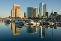 Marina Reflections