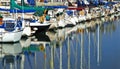 Marina Sail Boats, California Royalty Free Stock Photo